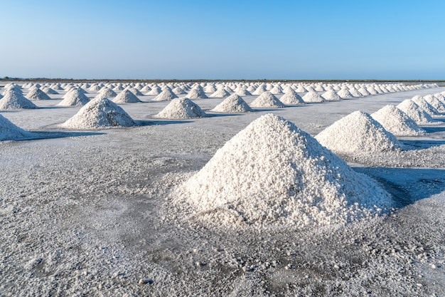 La culture du sel en utilisant la lumière du soleil de la chaleur, le sel sera rassemblé comme une pile