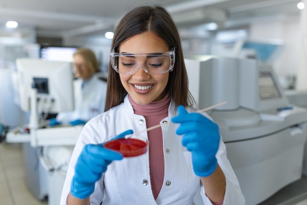 Culture propre de bactéries sur plaque de gélose Mise au point sélective sur une boîte de Pétri légèrement bleue Un scientifique tient une boîte de Pétri La main est recouverte d'un gant en latex