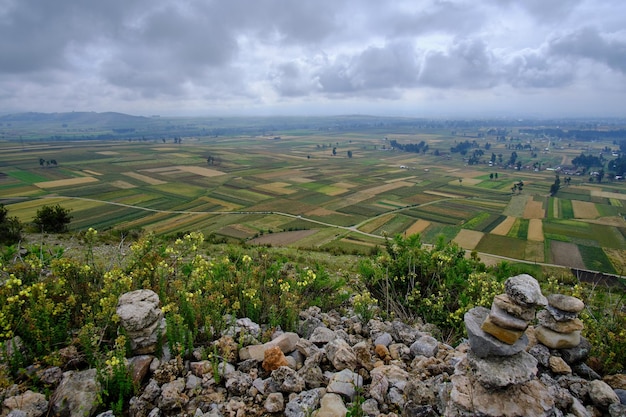 Les cultures agricoles