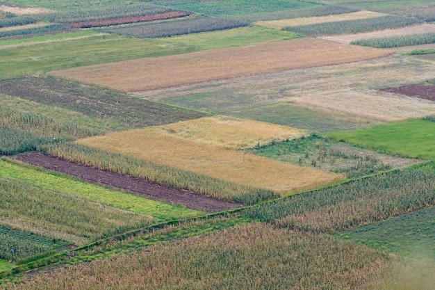 Les cultures agricoles