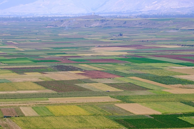 Les cultures agricoles