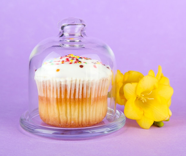 Cupcake sur soucoupe avec couvercle en verre