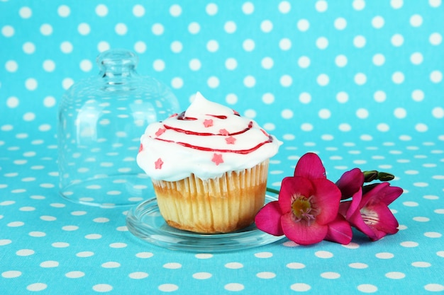 Photo cupcake sur soucoupe avec couverture en verre sur fond coloré