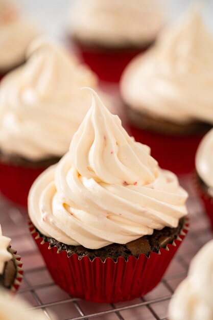 Cupcakes au chocolat et à la menthe poivrée