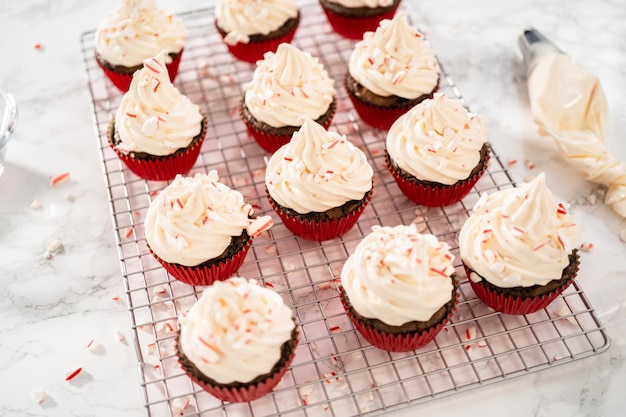 Cupcakes au chocolat et à la menthe poivrée