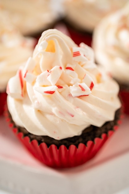 Cupcakes au chocolat et à la menthe poivrée