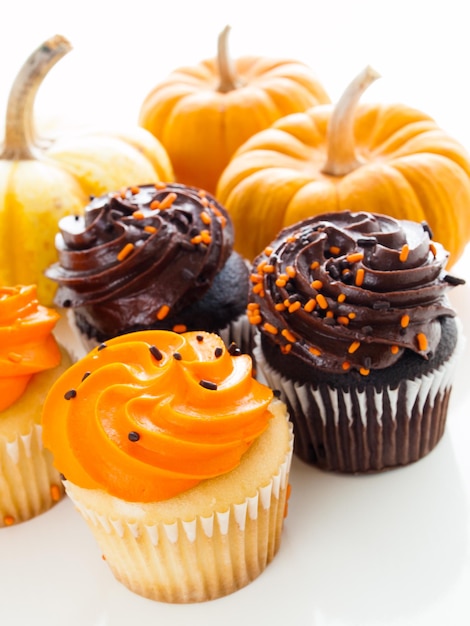 Cupcakes Halloween orange et noir sur fond blanc.