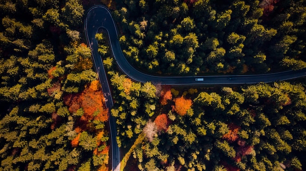 Curwy Winding Road Trough Forest aux couleurs du feuillage d'automne Vue de drone de haut en bas