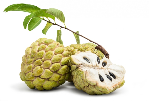 Custard Apple isolé