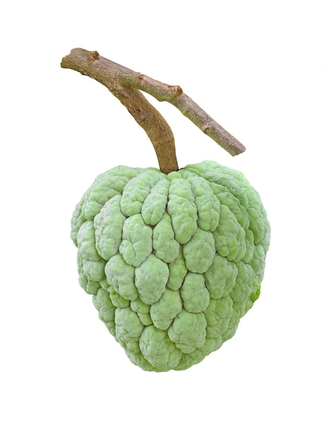 Photo custard apple ou sugar apple isolé sur fond blanc