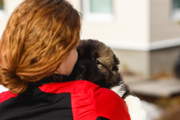 Cute Caucasian Shepherd embrassant avec son propriétaire