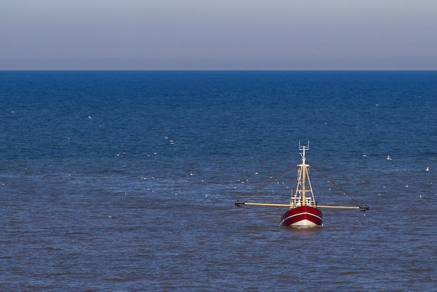 Un cutter rouge avec un troupeau de mouettes sur la mer du Nord