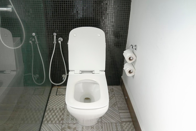 Cuvette de toilette dans les maisons modernes