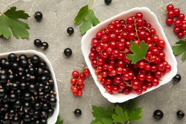 Cuvettes avec le cassis rouge et noir mûr sur le fond gris