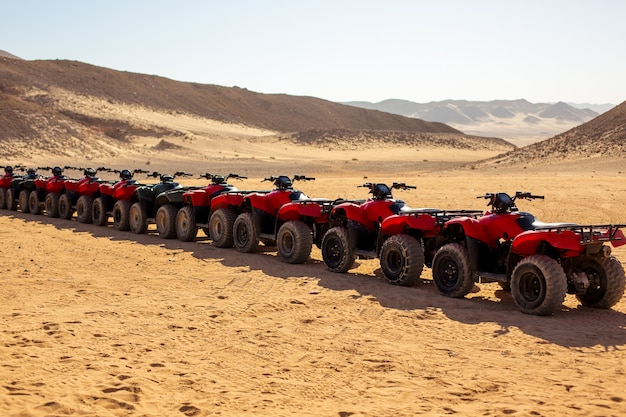 Cycle quad rouge au désert du Sahara. Divertissement extrême.