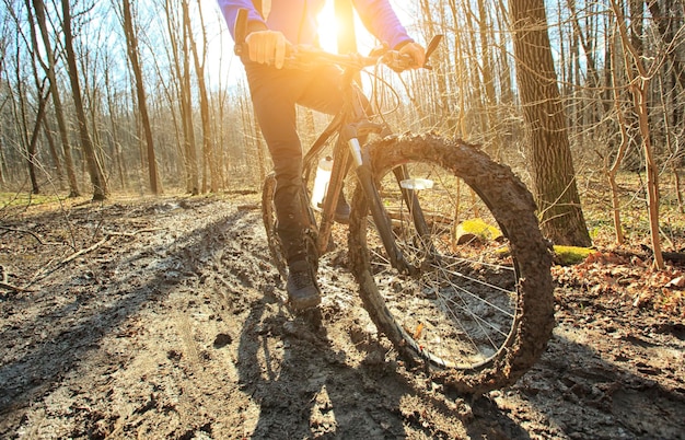 Le cycliste roule en VTT sur un sentier de terre en forêt au début du printemps