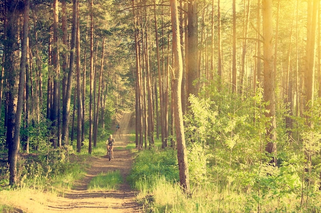 Cycliste sur une route forestière