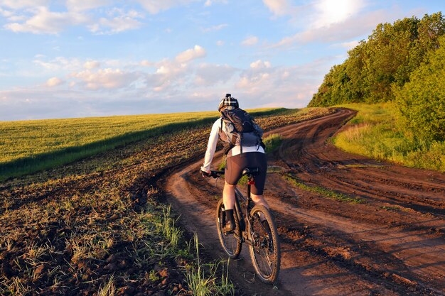 Cycliste en vélo le long des champs de blé au soleil