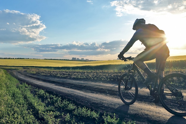 Cycliste à vélo le long des champs de blé au soleil