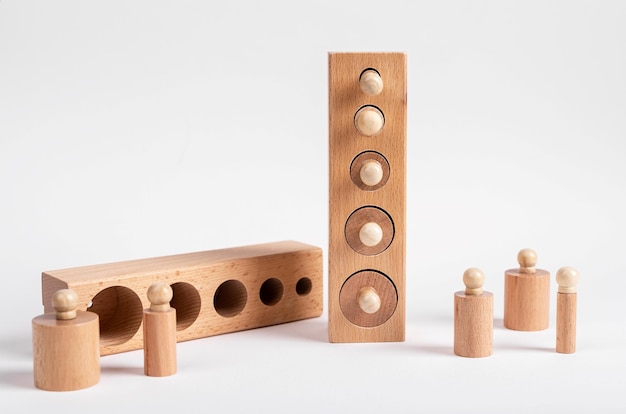 Cylindres en bois à boutons Montessori avec blocs Puzzle enfantin pour le développement de la perception de la taille et de la prise en pince