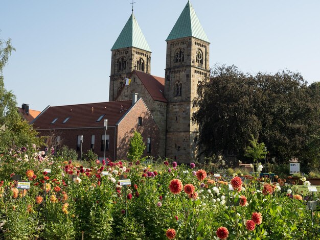 Photo les dahlias en westphalie