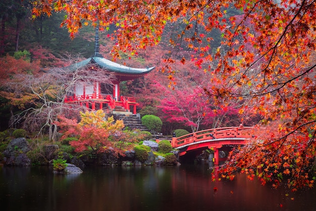 Daigo-ji temple en automne