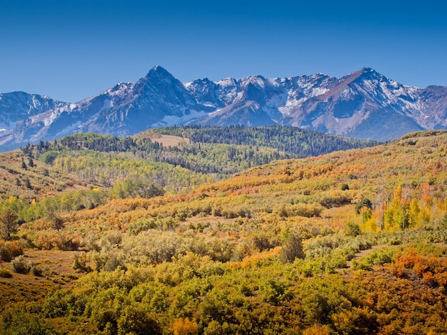 Le Dallas Divide est une icône du Colorado, bien connue pour ses couleurs d'automne vives produites par le chêne et le tremble.