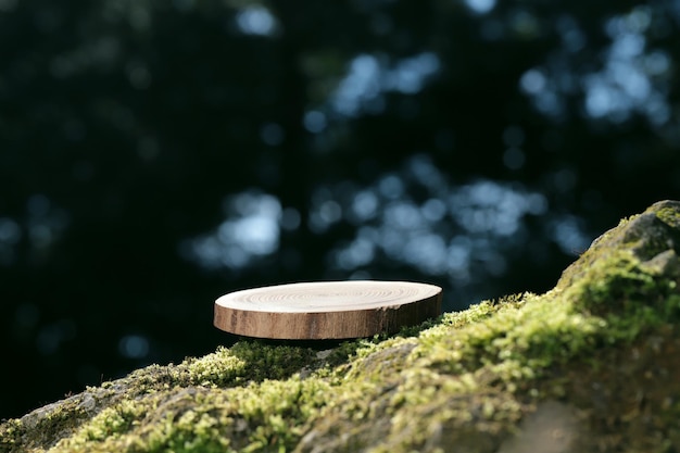Photo une dalle ronde en bois sculpté repose sur une pierre avec de la mousse dans la forêt, un support, un podium. bokeh