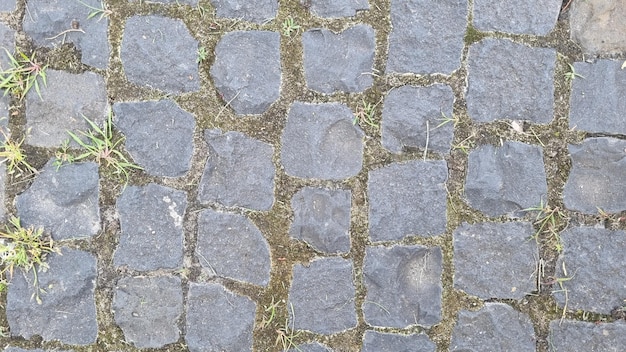 dalles de pavage Passerelle en pierre