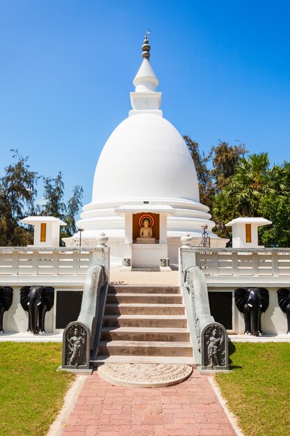 Photo dambakola patuna sangamitta viharaya