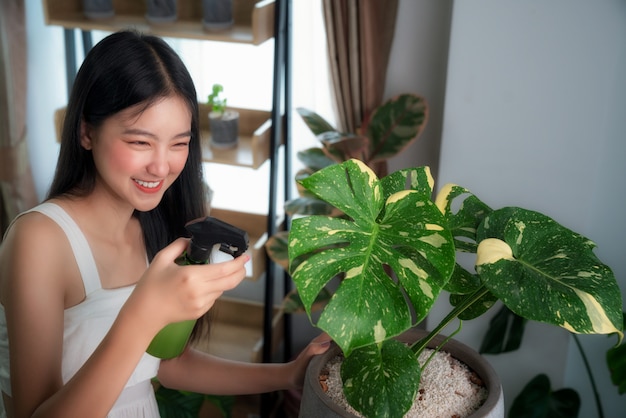 Dame asiatique arrosant à Monstera arbre panaché par pulvérisation dans sa chambre dans son condominium, cette image peut être utilisée pour le concept de passe-temps, de détente, d'arbre et de décoration