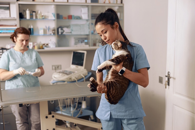 Photo une dame asiatique prudente tient un chat mignon pendant qu'un collègue prépare une machine à ultrasons en clinique
