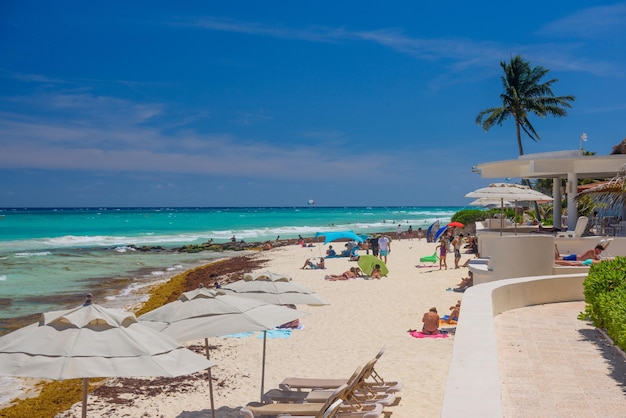 Dame en bikini string sexy prenant un bain de soleil sur une plage de sable aux algues à Playa del Carmen Yukatan Mexique