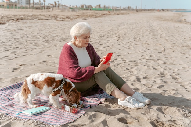 Dame concentrée regardant le smartphone dans ses mains pendant que son chien mange des fraises fraîches