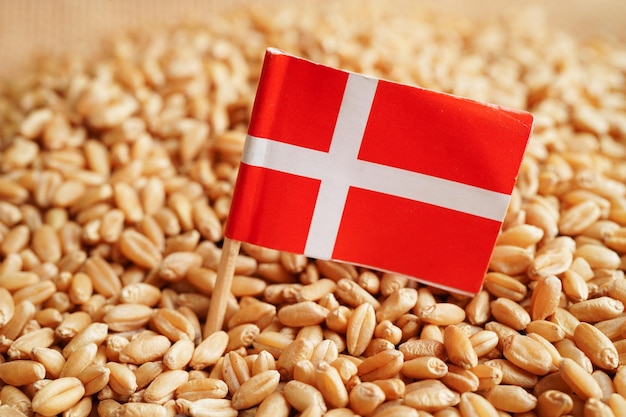 Danemark sur le concept d'exportation et d'économie du commerce du blé grain