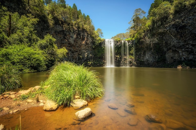 Dangar Falls dans la forêt tropicale du parc national de Dorrigo Australie