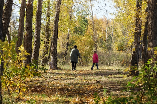 Dans les bois pour les champignons