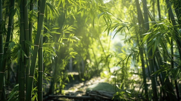 Dans la jungle Expérimentez la verdure luxuriante d'une forêt de bambou d'un angle bas où les arbres imposants créent une canopée sereine