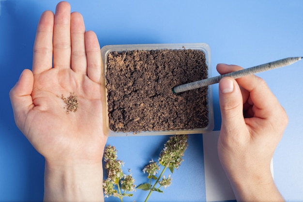 Dans la main graines à planter A côté du récipient avec le sol Ecoquarantaine