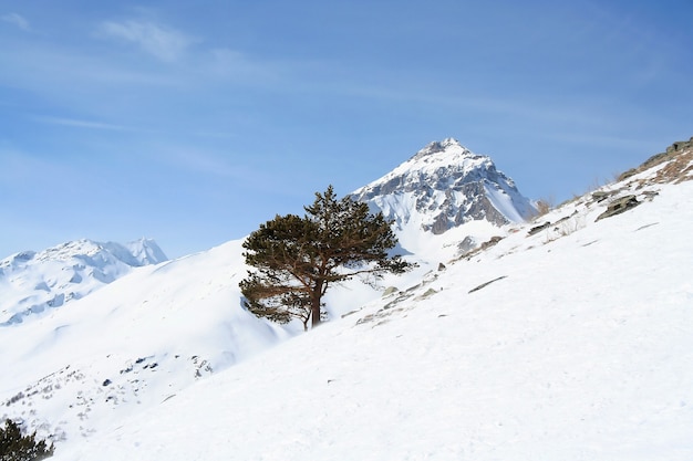 Dans les montagnes de Dombai, Caucase