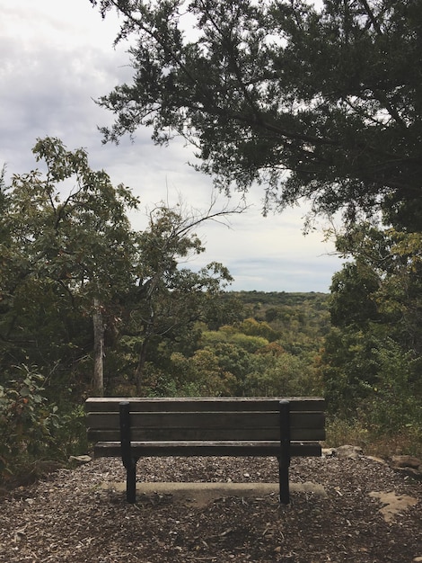 Photo dans le parc, sur un banc contre le ciel.