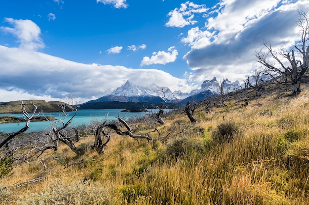 Dans le parc national de Torres del Paine, en Patagonie, au Chili, au Lago del Pehoe.