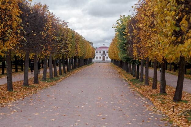 Dans le parc de la ville de Pertergof, Saint-Pétersbourg, Russie