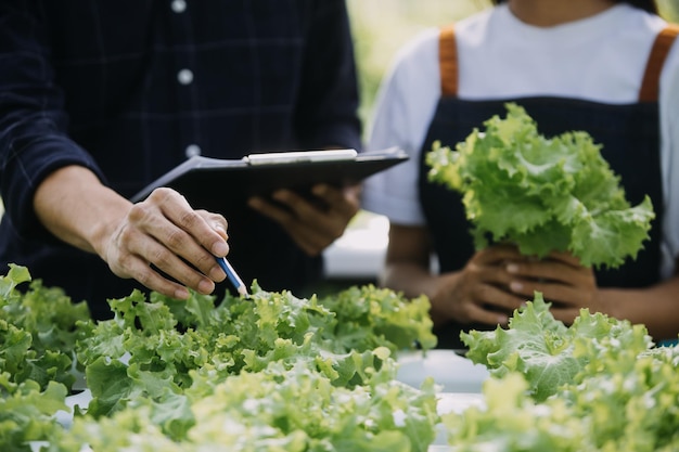 Dans la serre industrielle, deux ingénieurs agricoles testent la santé des plantes et analysent les données avec une tablette informatique