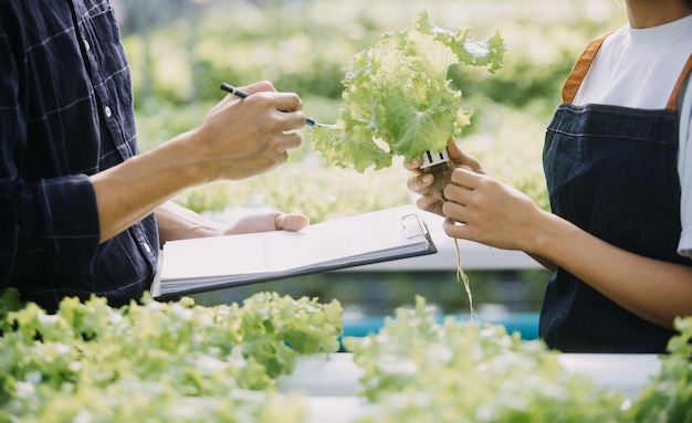 Dans la serre industrielle, deux ingénieurs agricoles testent la santé des plantes et analysent les données avec une tablette informatique