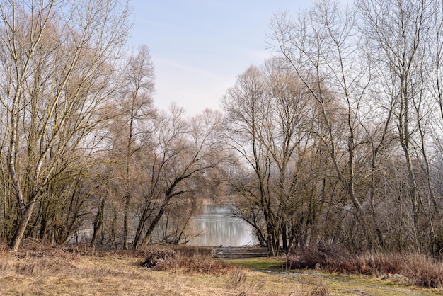 Danube en hiver