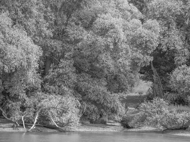 le Danube en Hongrie