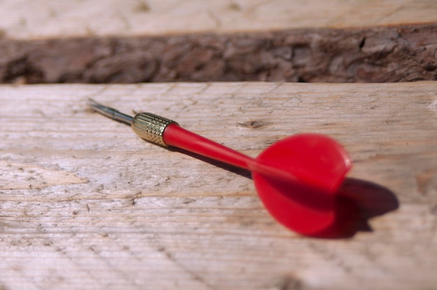 Dart de fléchettes se trouve sur un arbre