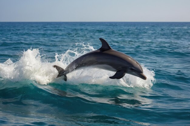 Un dauphin enjoué sautant des vagues de la mer