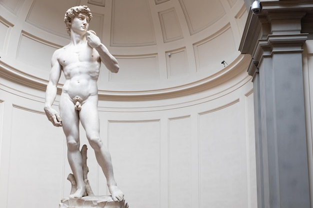 David sculpture de Michelangelo Buonarroti 1501 Le chef-d'œuvre de l'art de la Renaissance